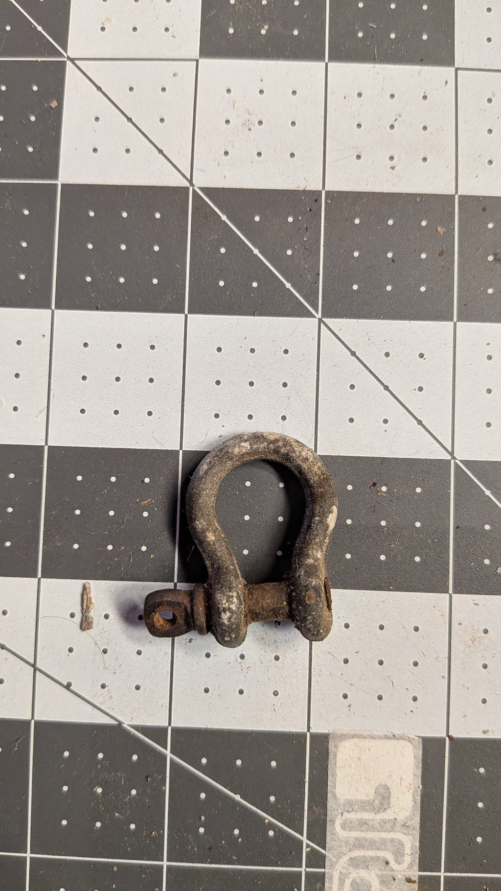 Small bow shackle with screw pin front view on 1-inch grid