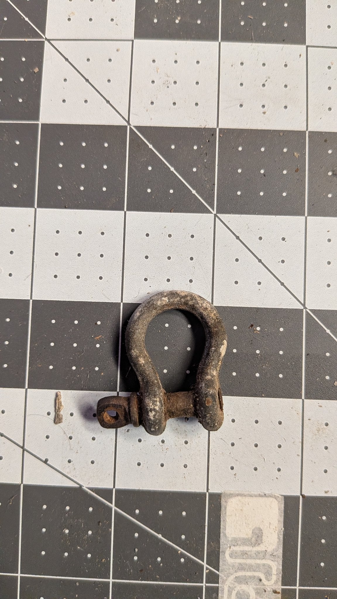 Small bow shackle with screw pin front view on 1-inch grid