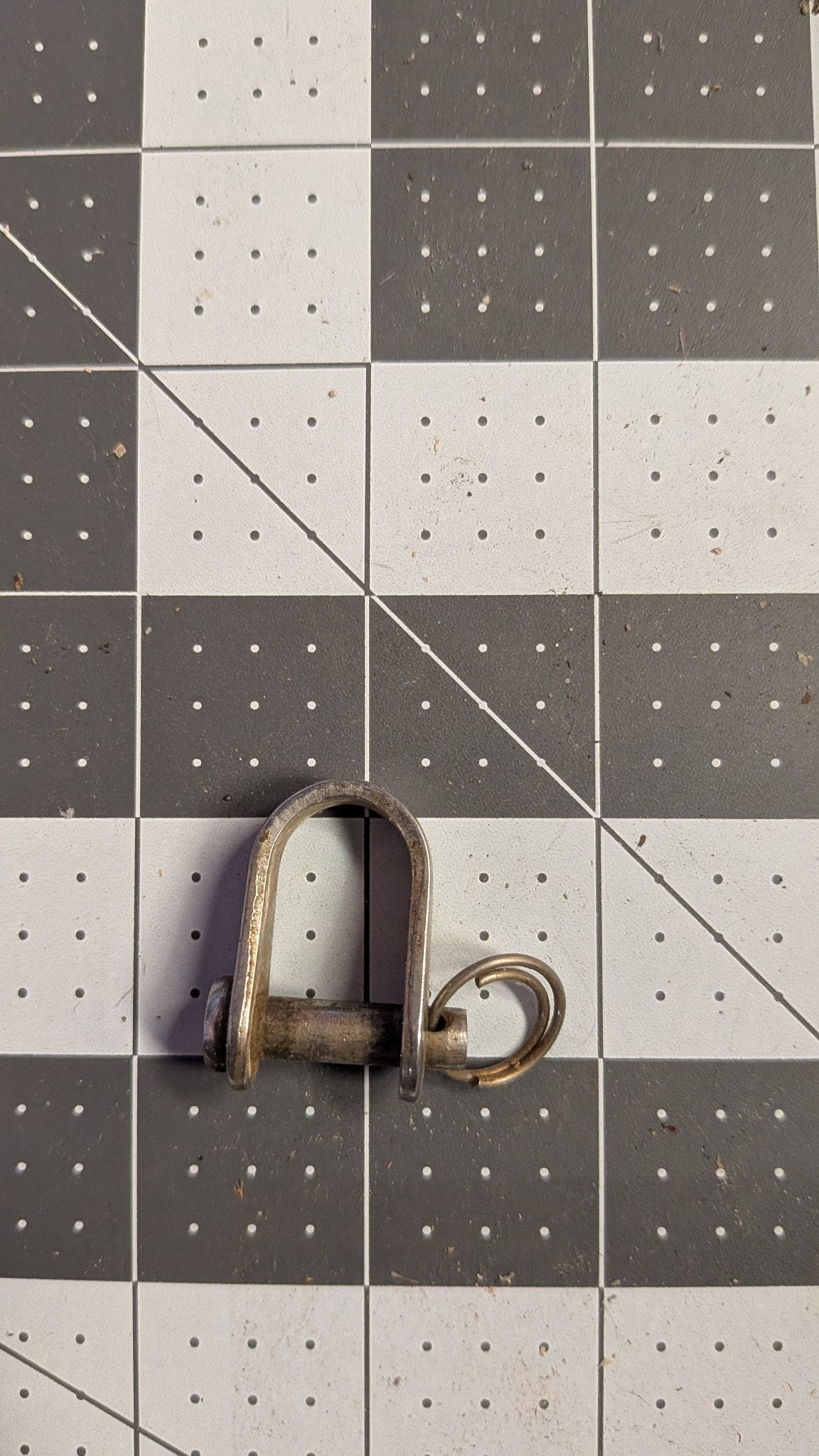 Stainless D-shackle with captive pin and split ring front view on 1-inch grid