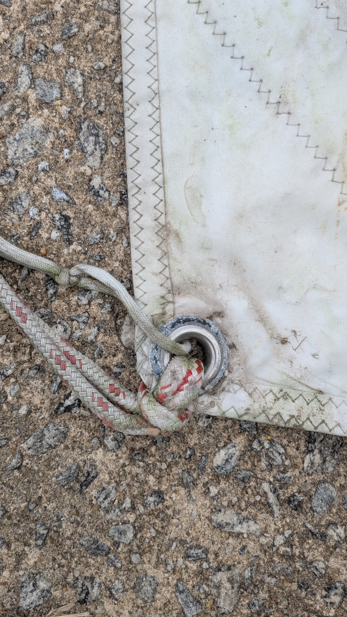 Tack of the jib with sheets attached