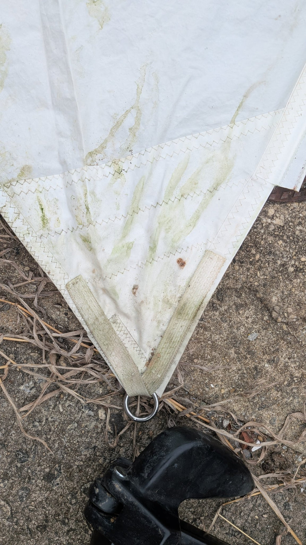 Corner of the jib with stainless ring and webbing