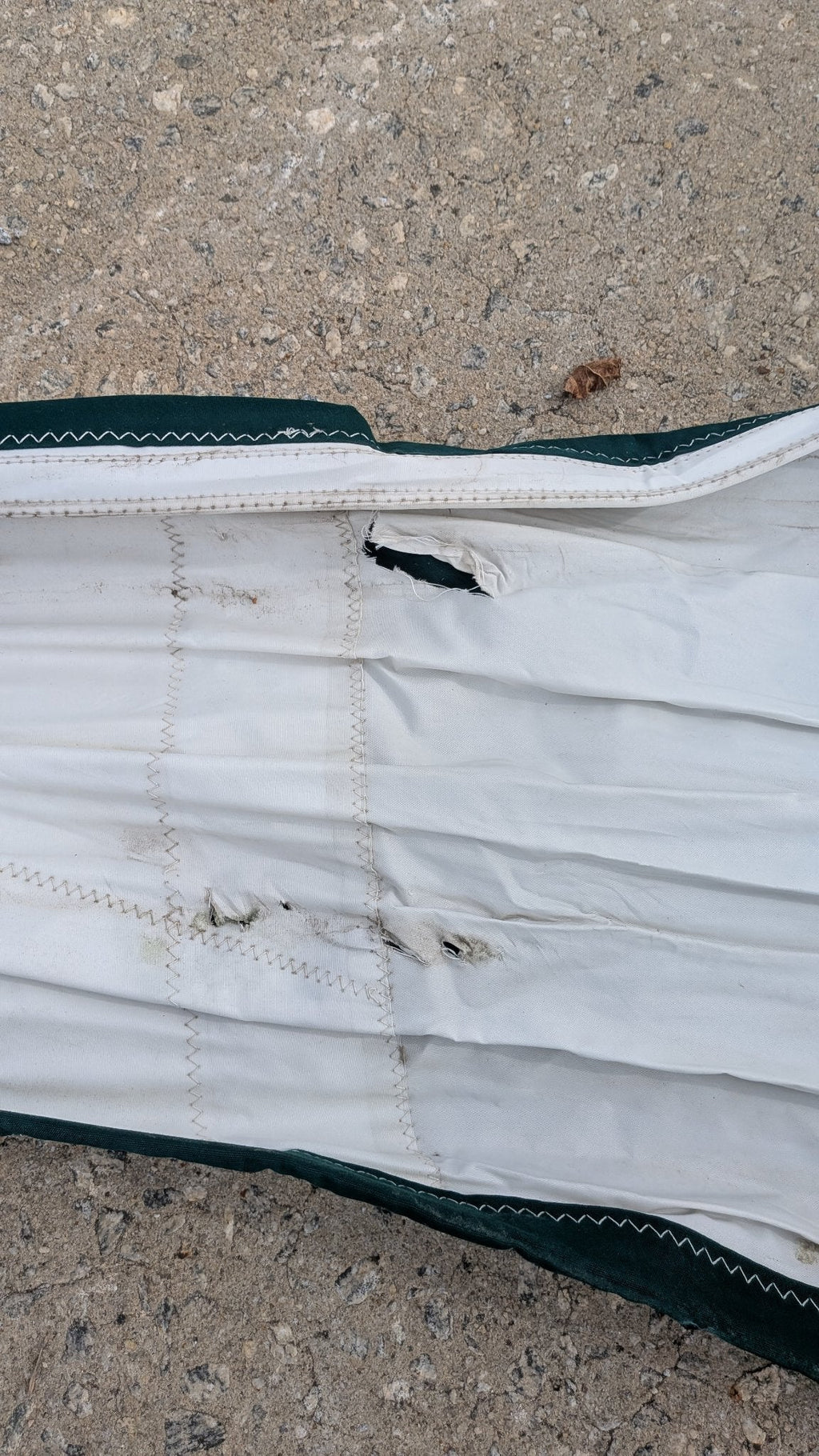 Tear in the cloth near the leech — needs repair, see condition notes