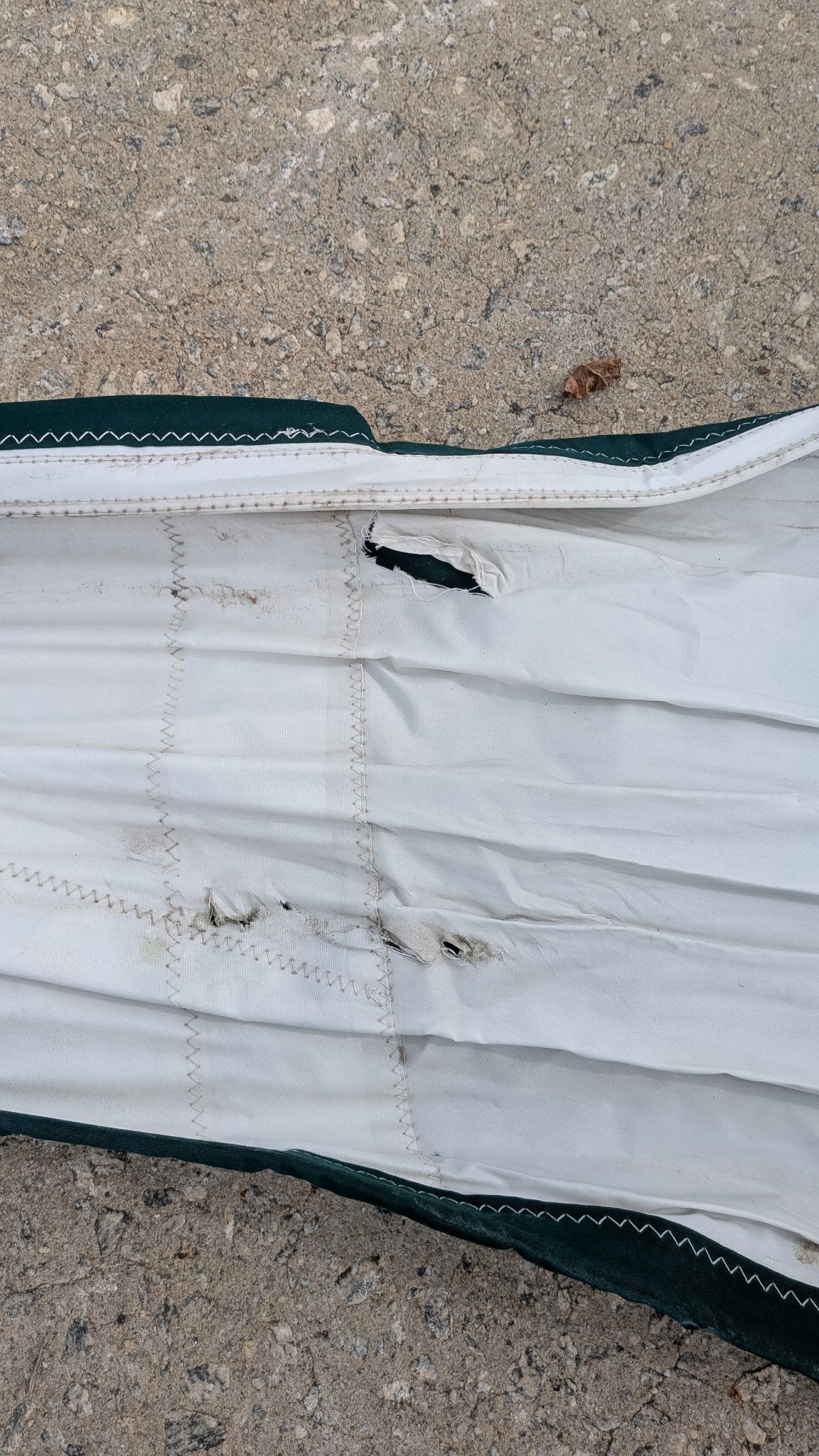 Tear in the cloth near the leech — needs repair, see condition notes