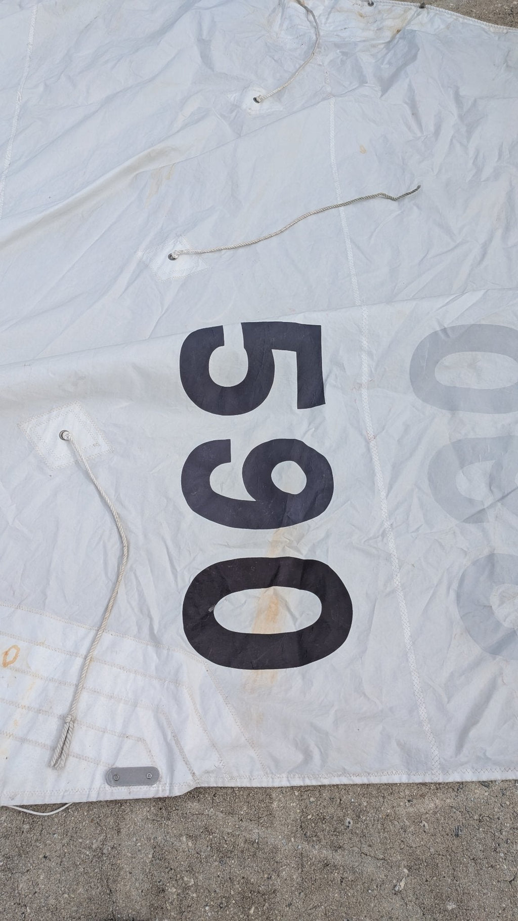Sail number 065 closeup