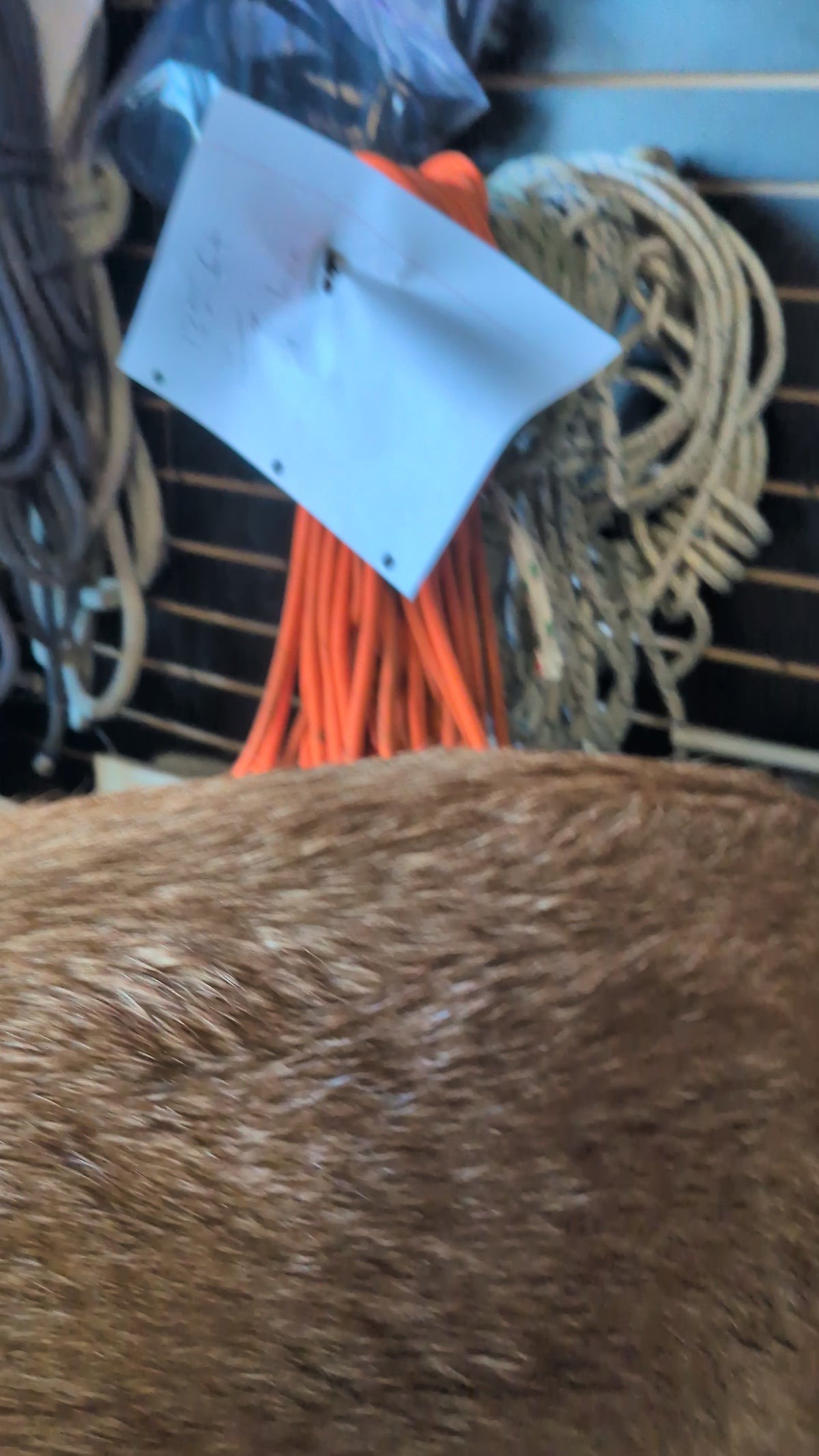 used rope 25 cent per foot call for avaiablity
